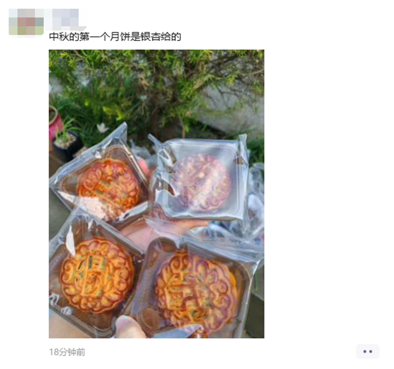 微信图片_20240918091851.png