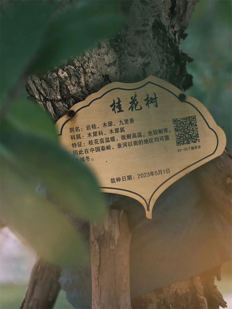 微信图片_20241009084335.jpg