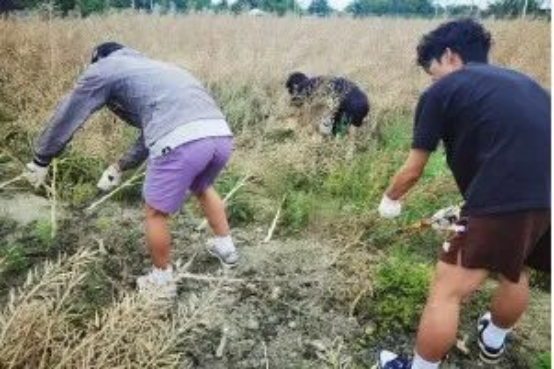 1778315944677664.png