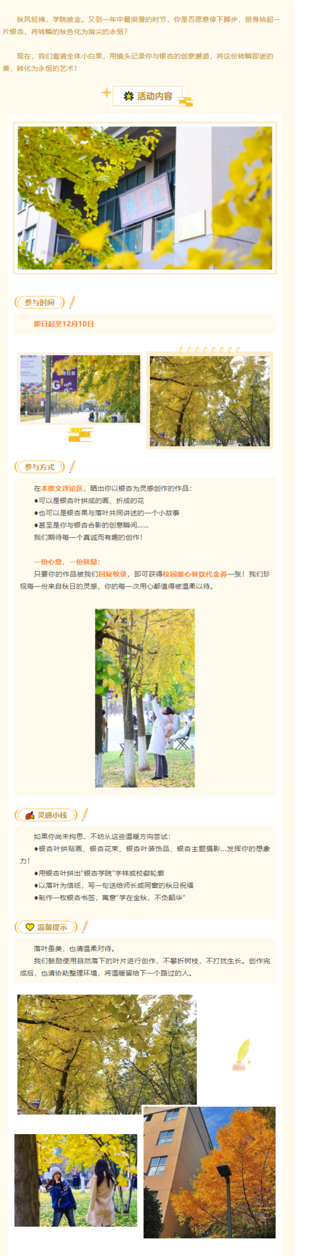 在这个金秋，记录银杏故事.png